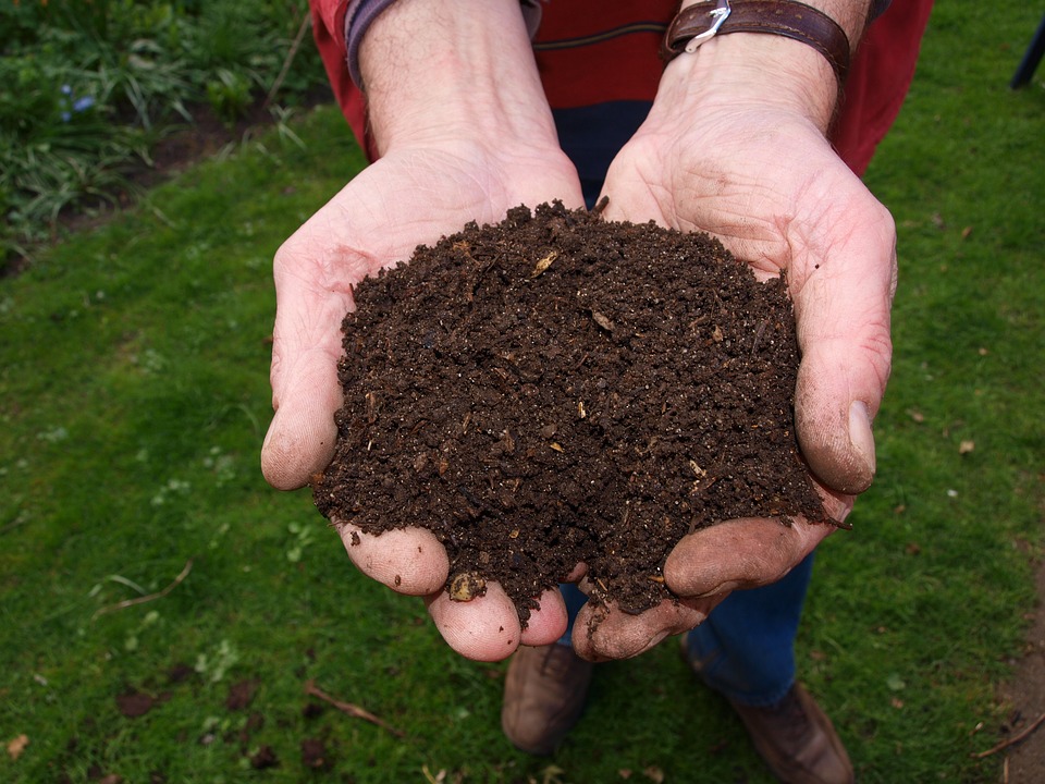 Learn which plants will grow in your soil
