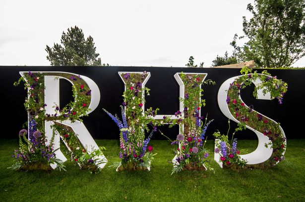 Top things to do at RHS Chelsea