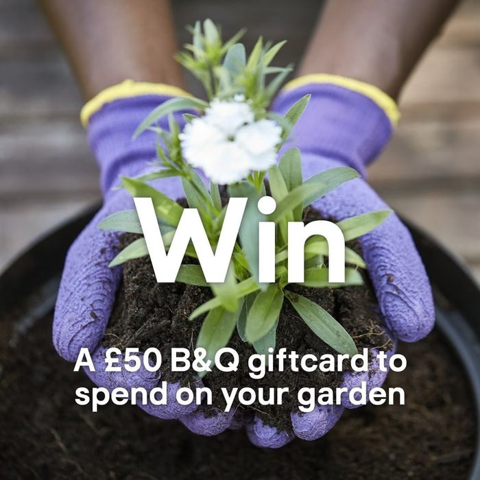 Image for Win A &pound50 B&Q Gift Card
