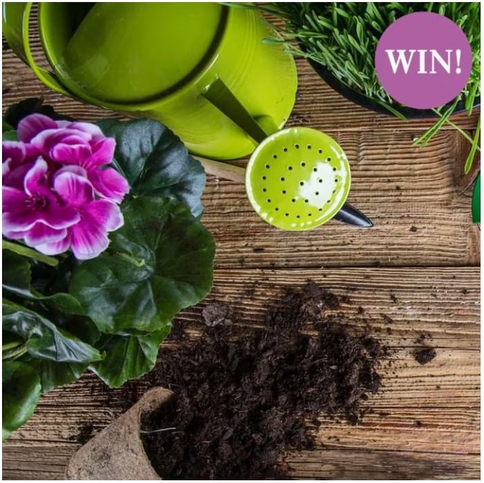 Image for Win a National Garden Gift Voucher worth &pound50.
